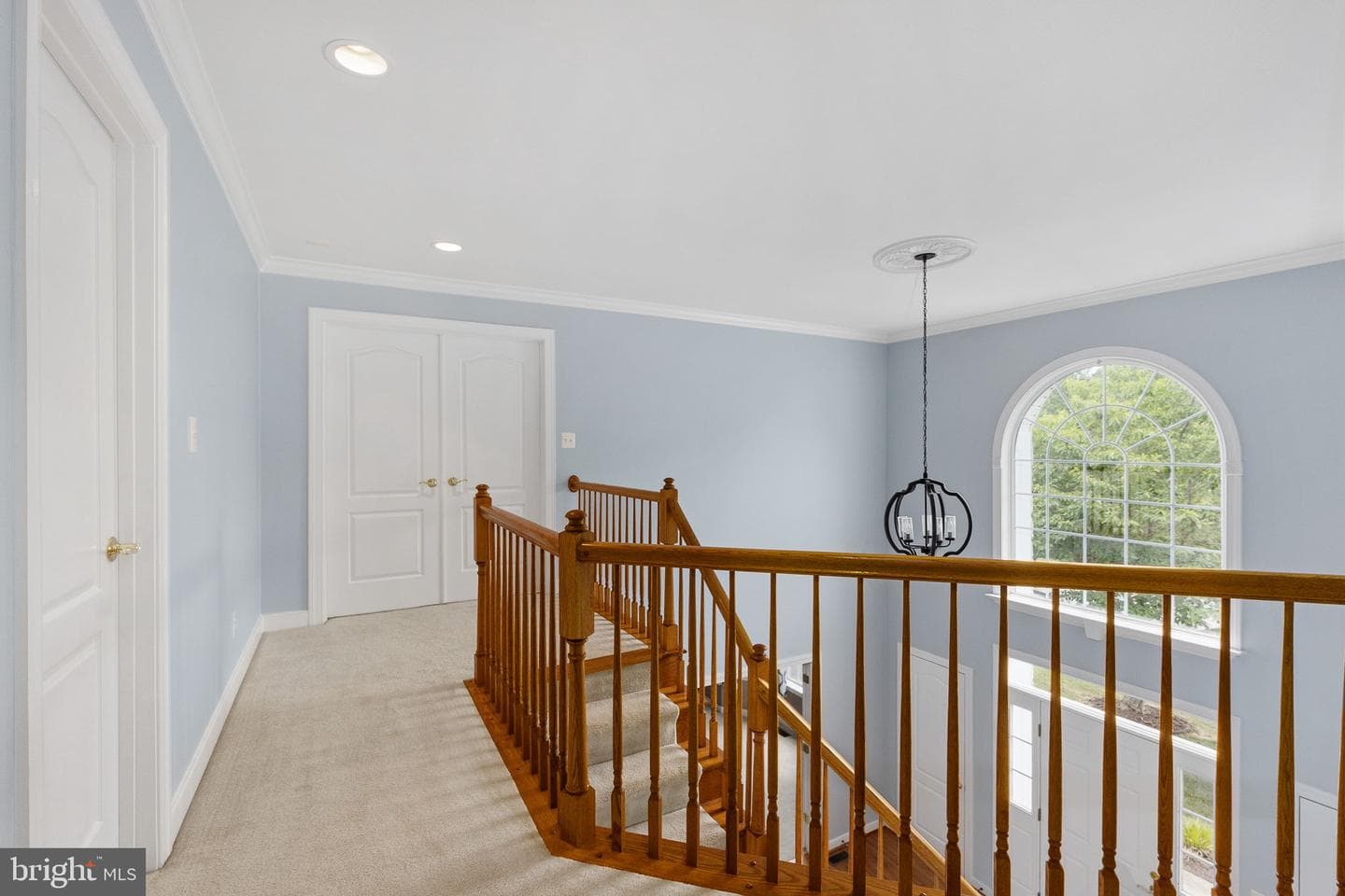 17 Brannigan Drive photo 29