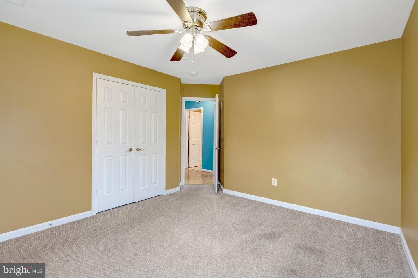116 Northampton Boulevard photo 33