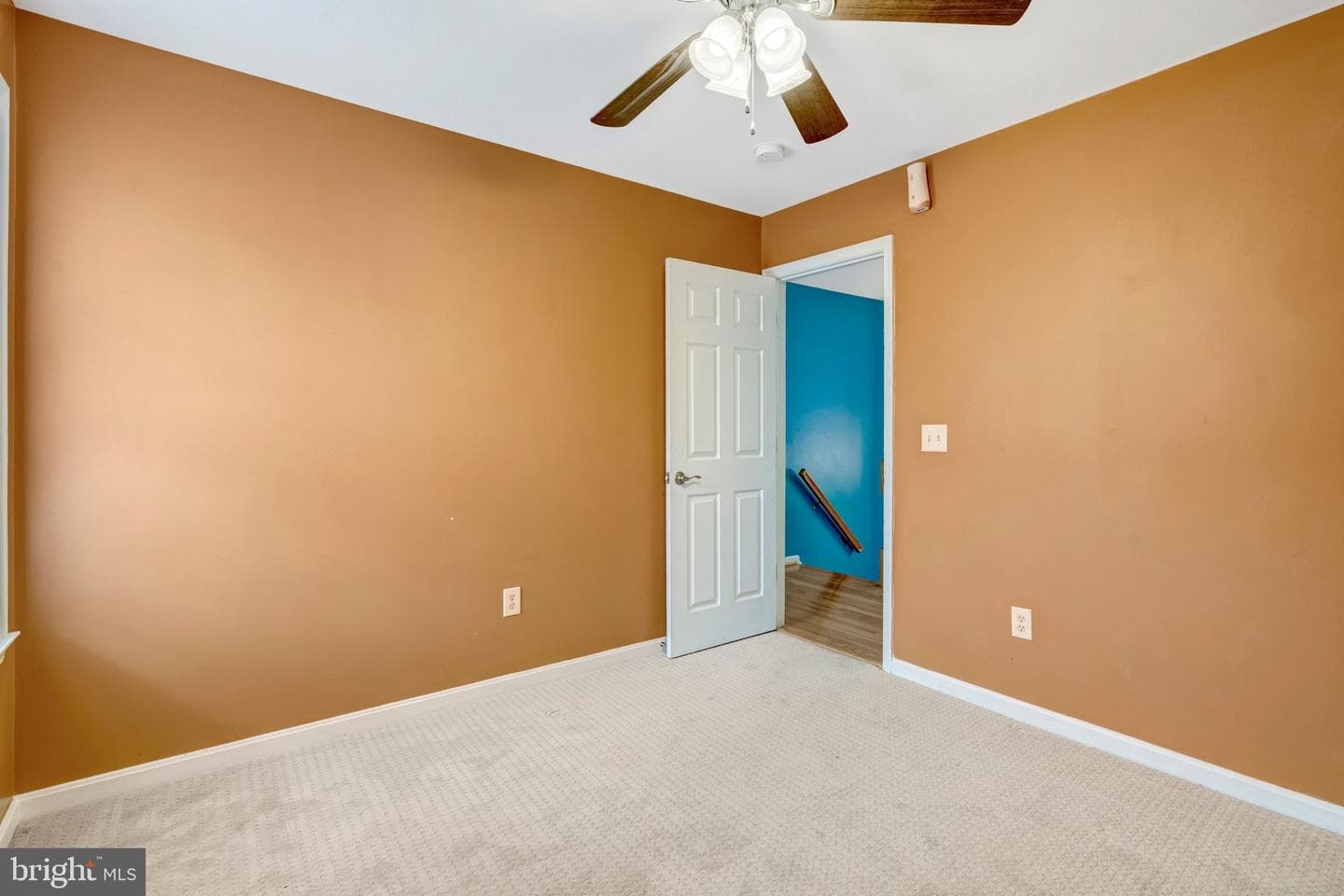 116 Northampton Boulevard photo 36