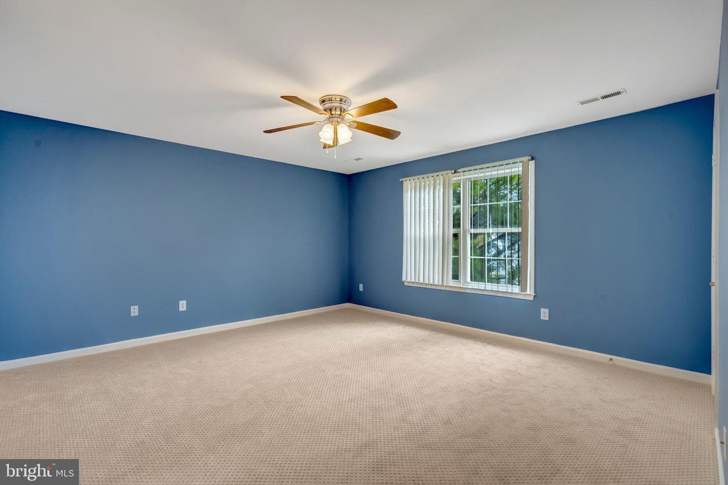 116 Northampton Boulevard photo 37