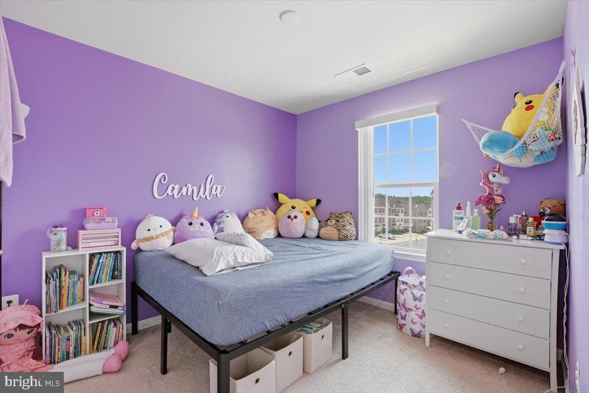 109 Rising Sun Road photo 21