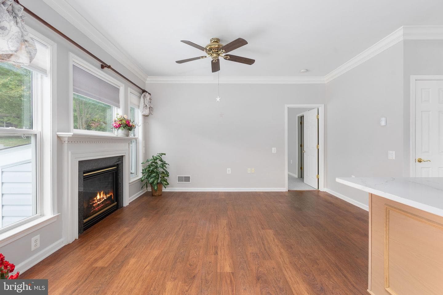 12 Hanover Drive photo 52