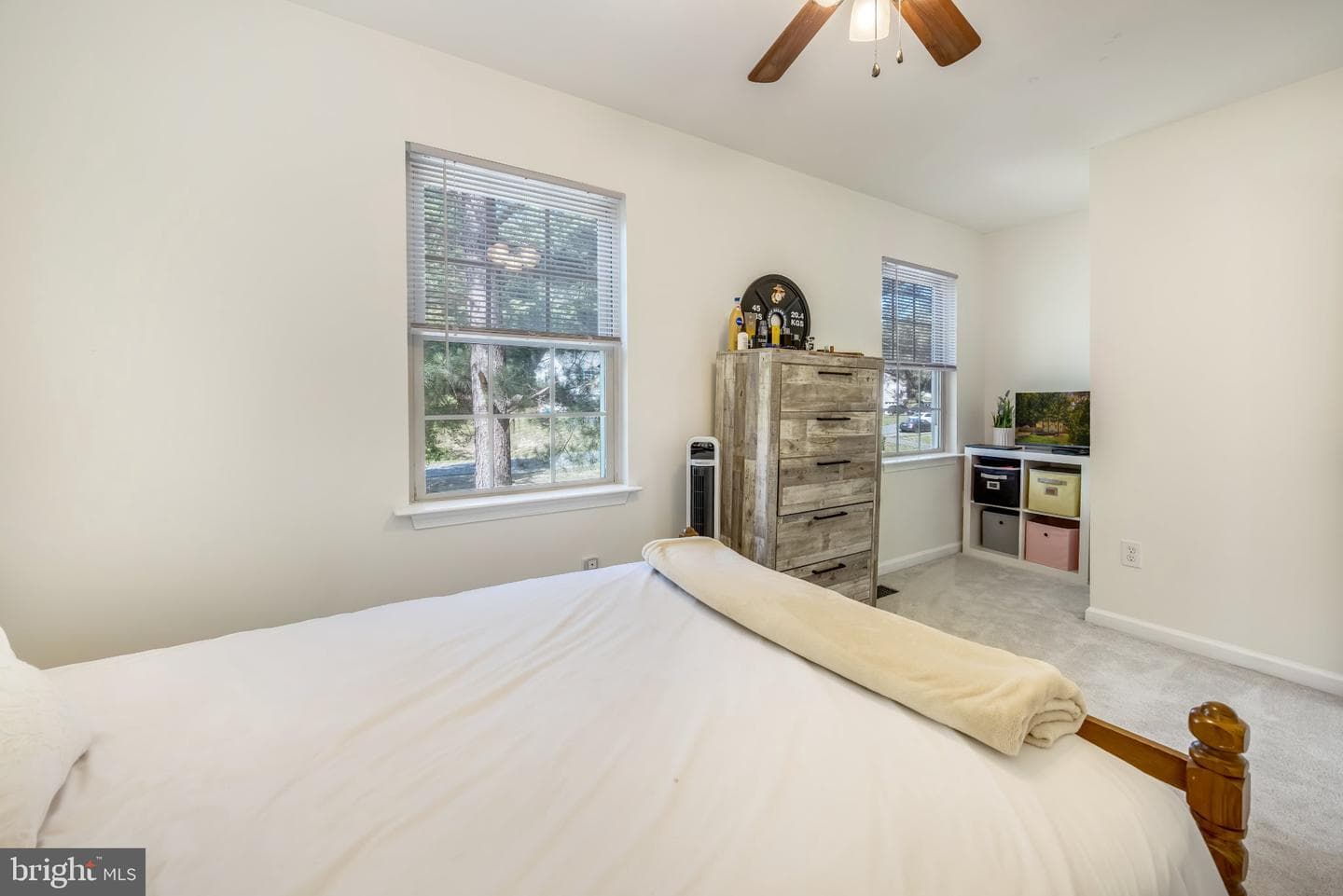 36 Plumosa Drive photo 27