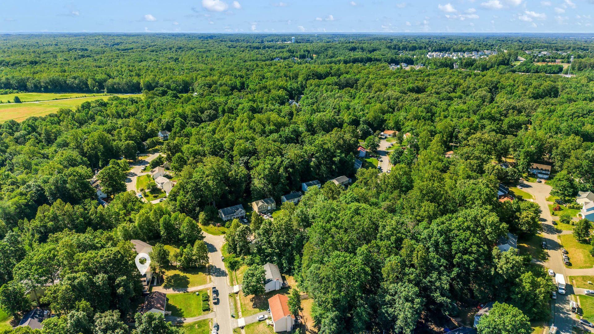 36 Plumosa Drive photo 6