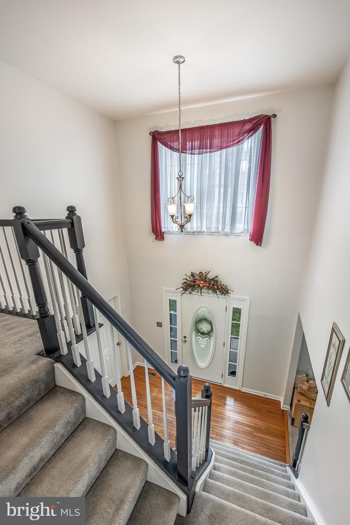 6 Saint Johns Court photo 29