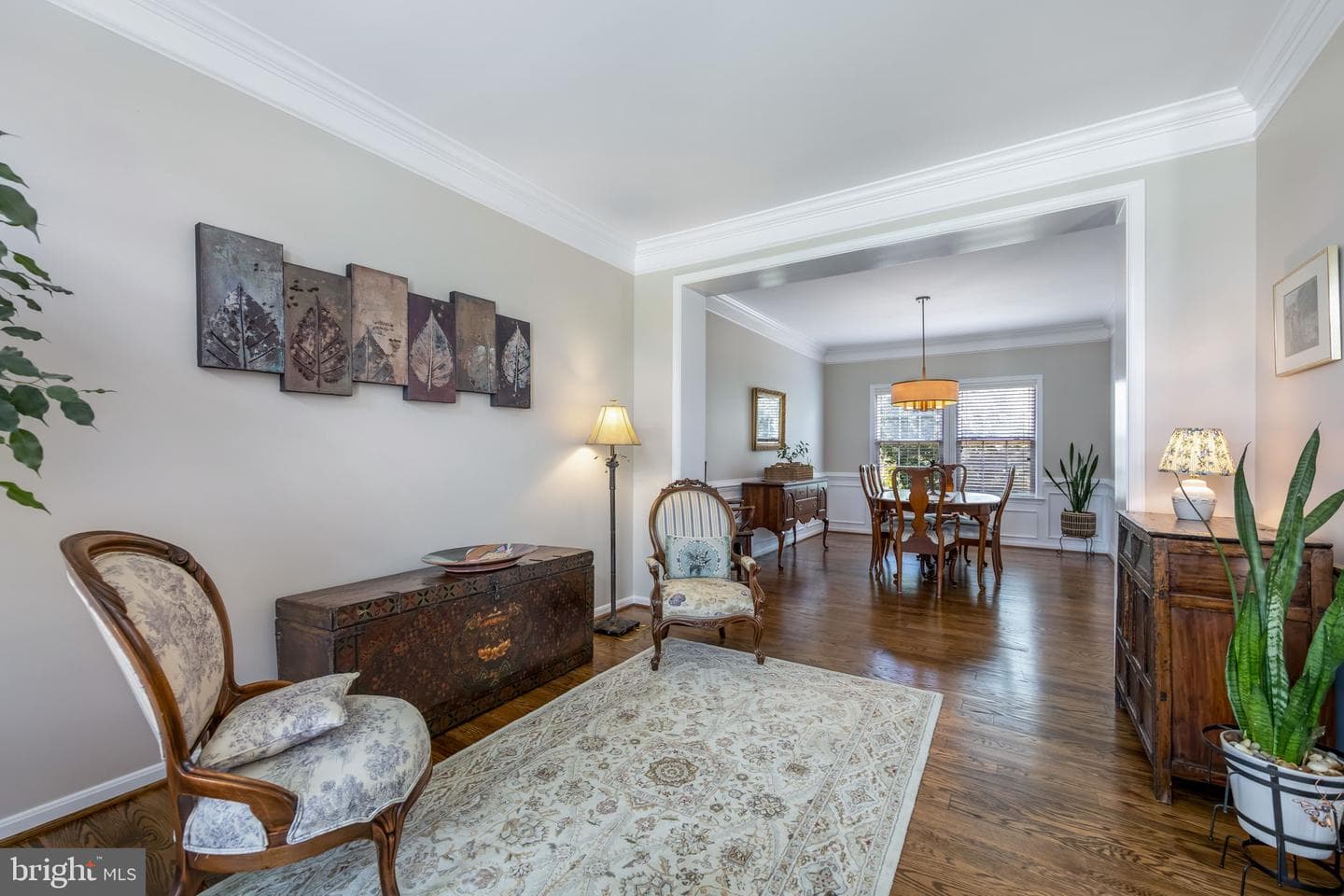 20 Dewitt Road photo 5