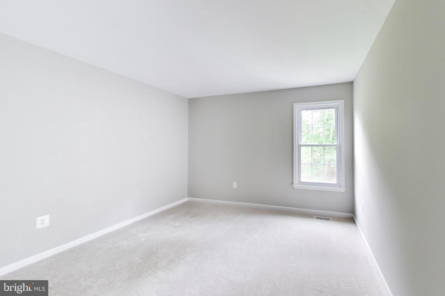11 Danbury Forest Lane photo 33
