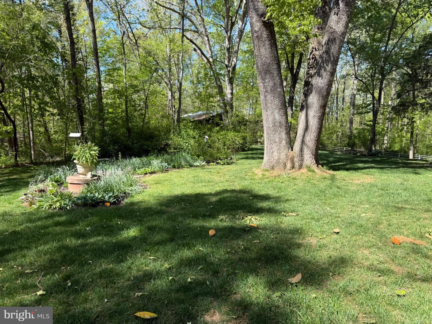 86 Mockingbird Lane photo 63