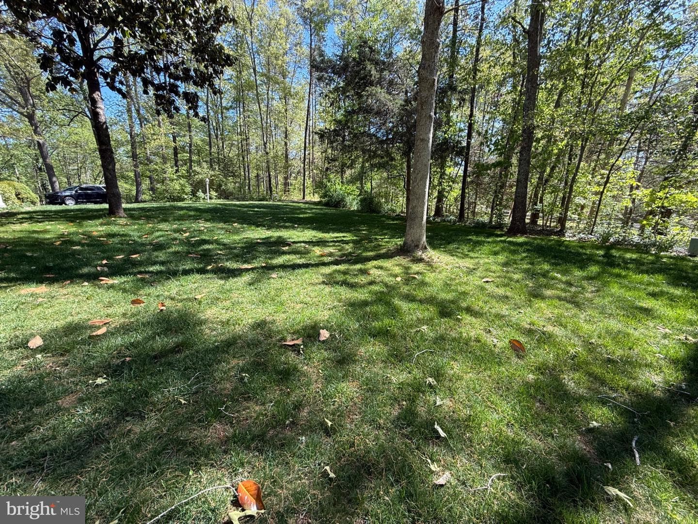 86 Mockingbird Lane photo 64
