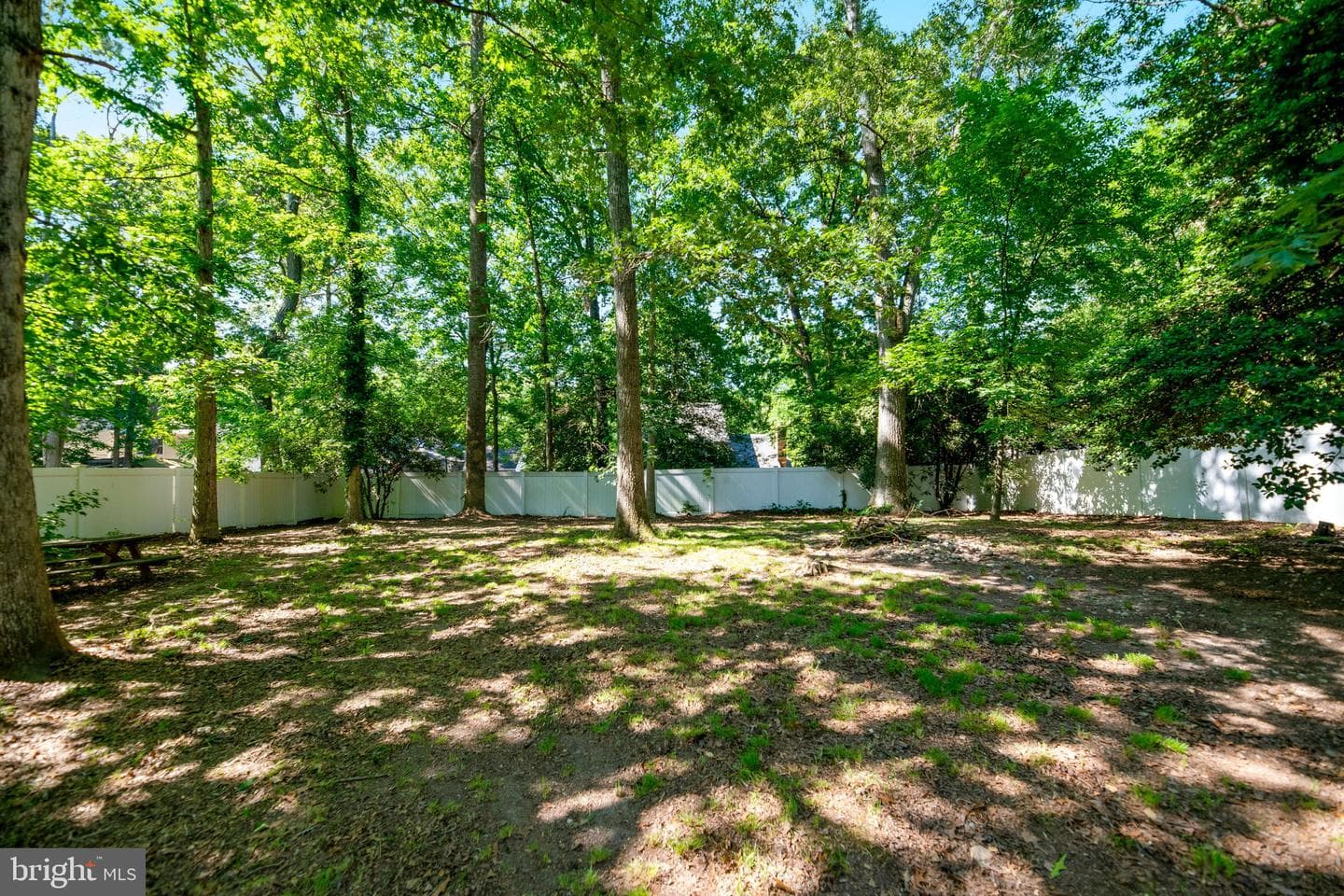 1023 Isabella Drive photo 8
