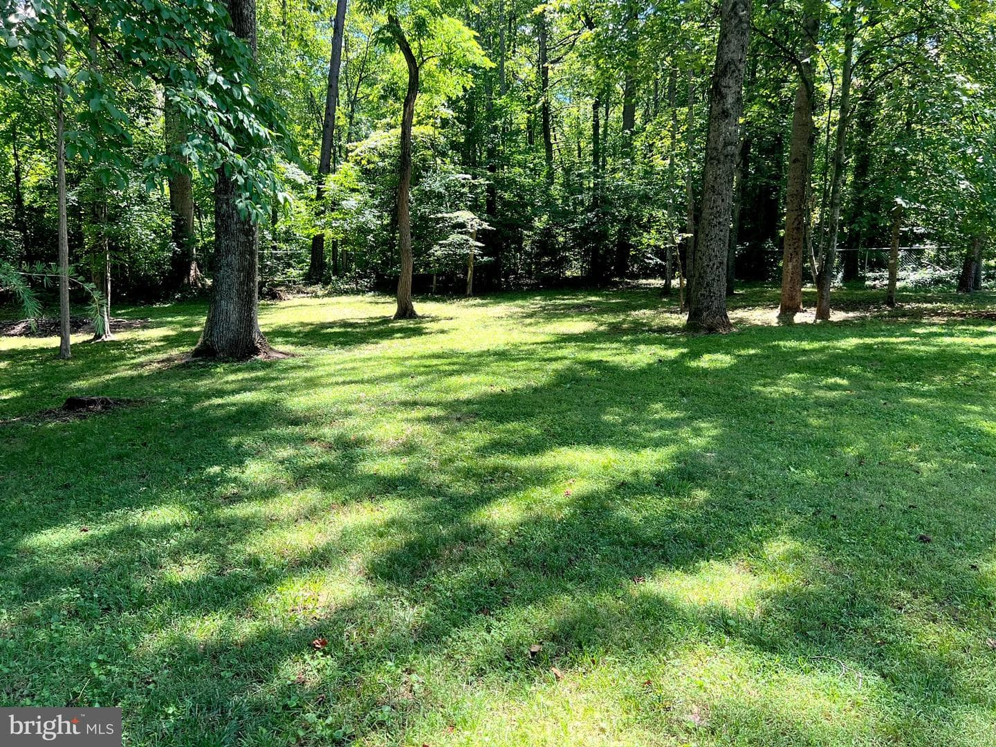 12 Clover Hill Drive photo 41