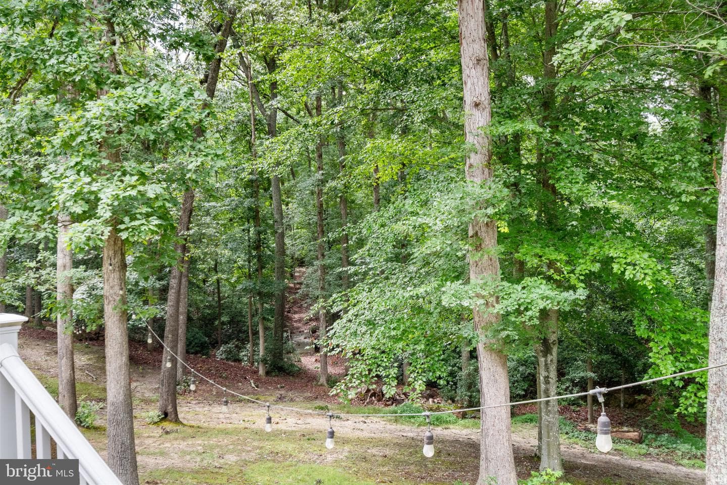55 Snowbird Lane photo 59