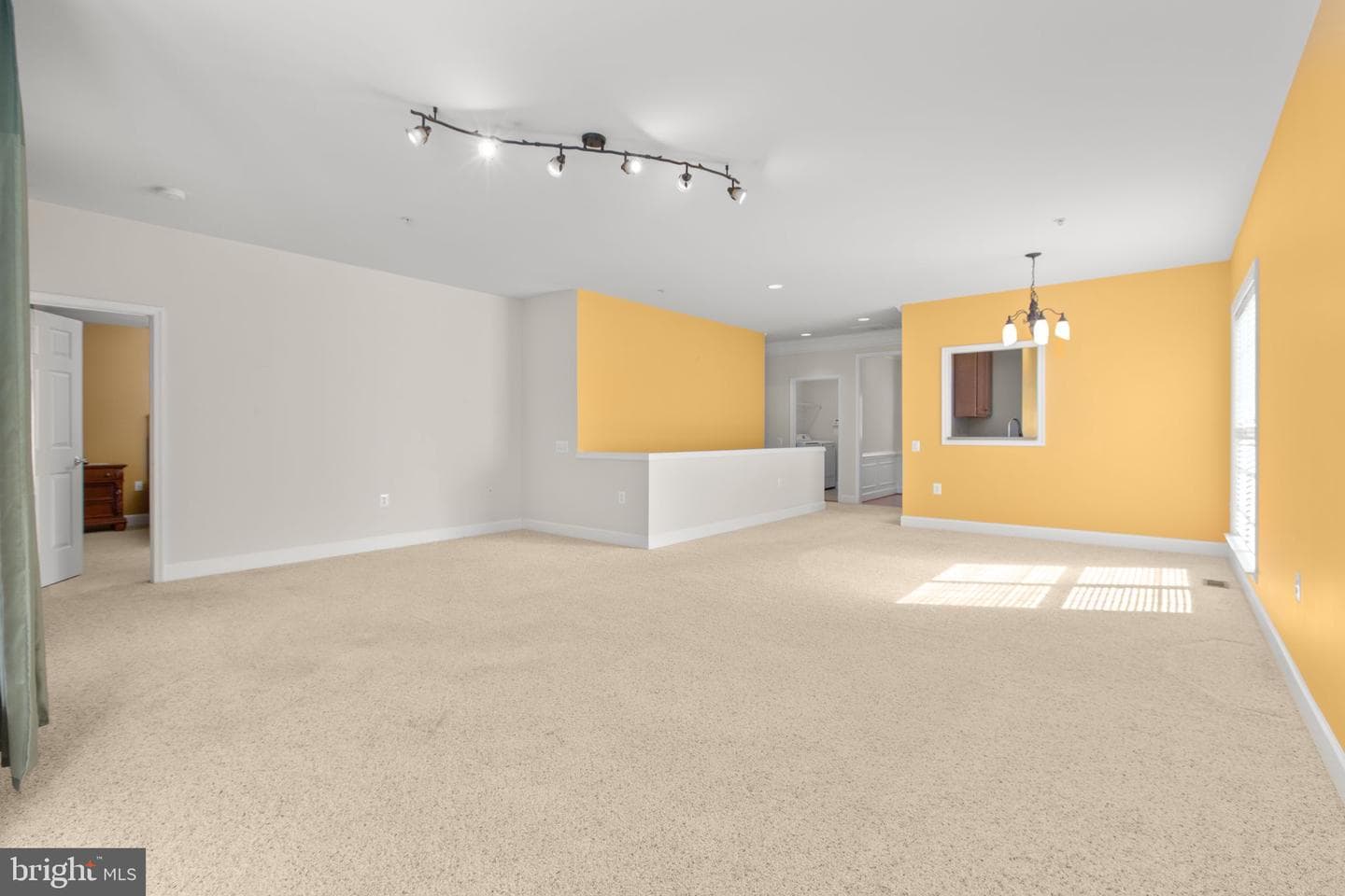 76 Denison Street photo 11
