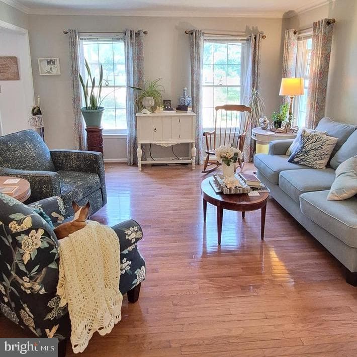 305 Ironside Cove photo 8