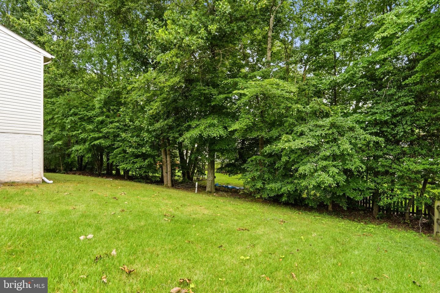 33 Jade Drive photo 48