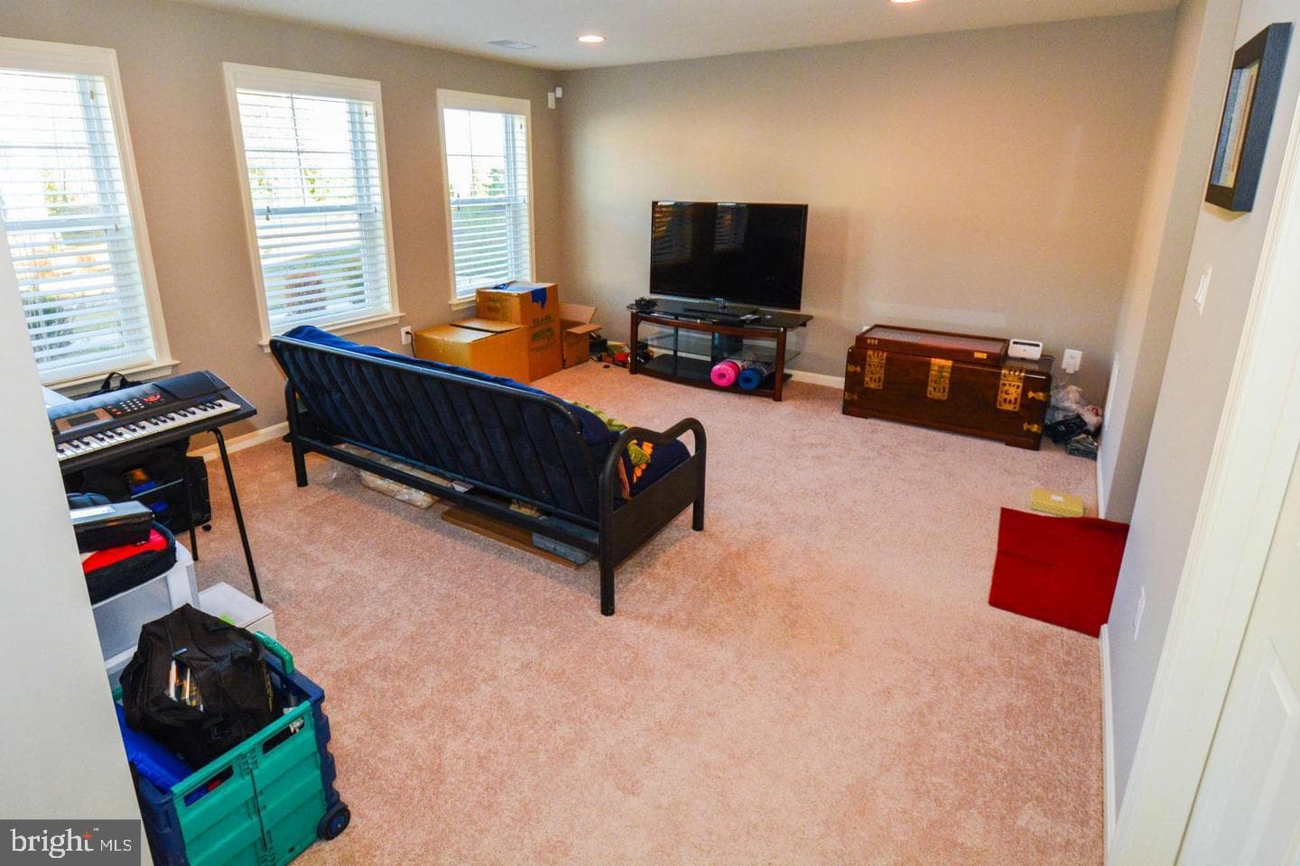 117 Blackgum Court photo 7