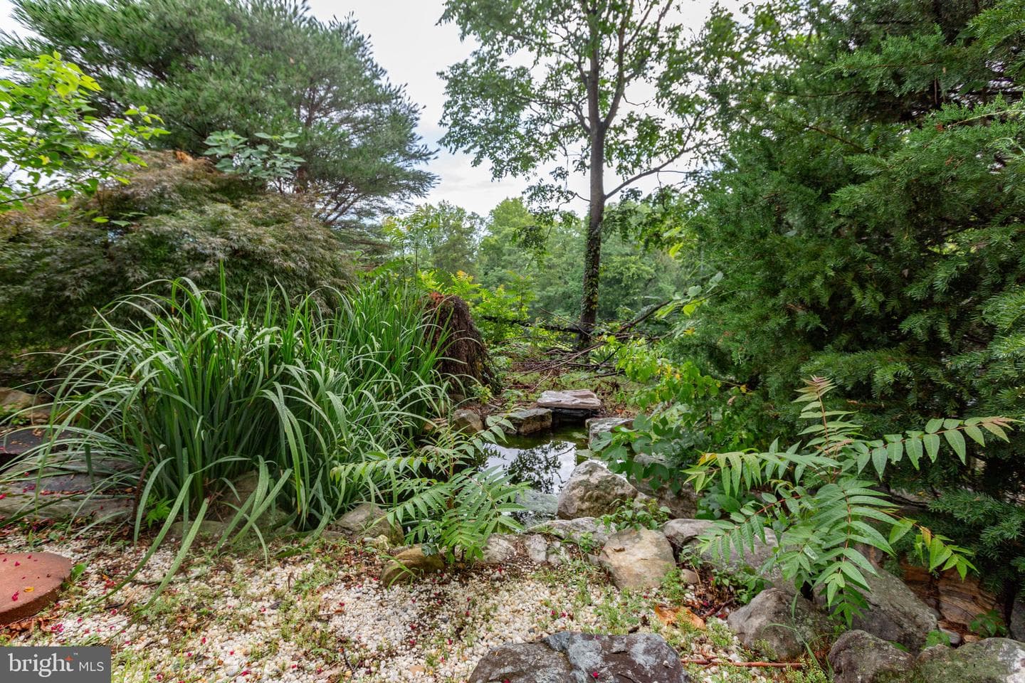 215 Stern Cove photo 75