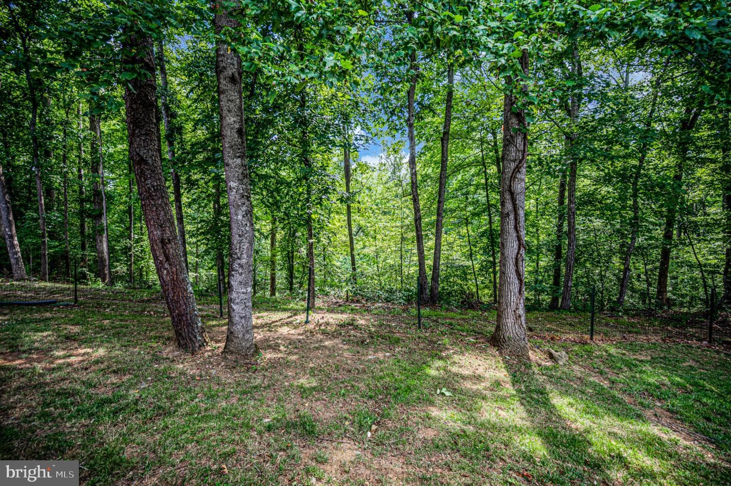 239 Toluca Road photo 21