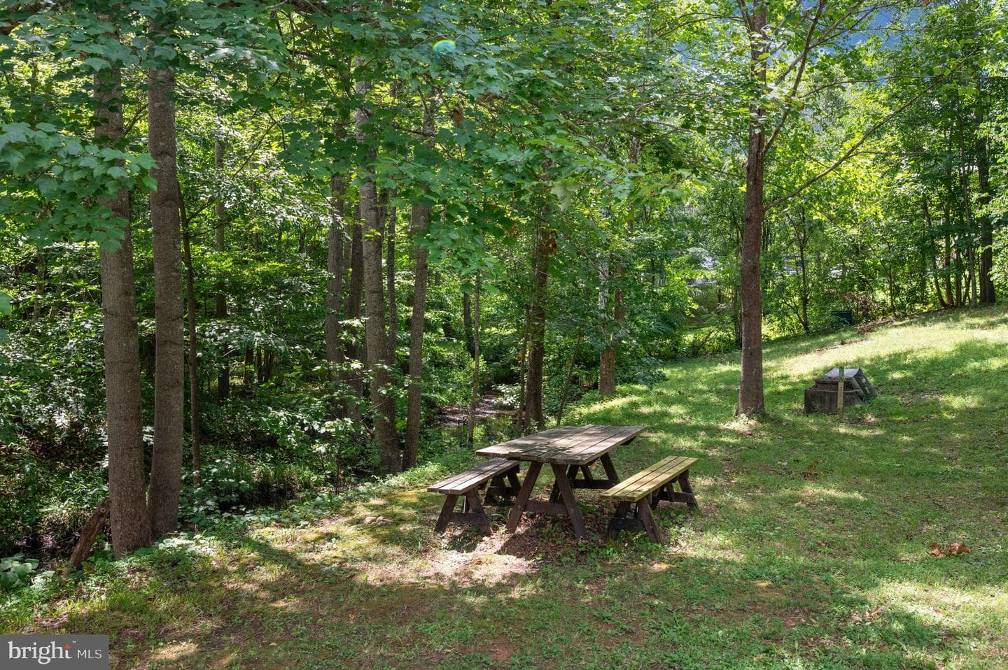 368 Eustace Road photo 52