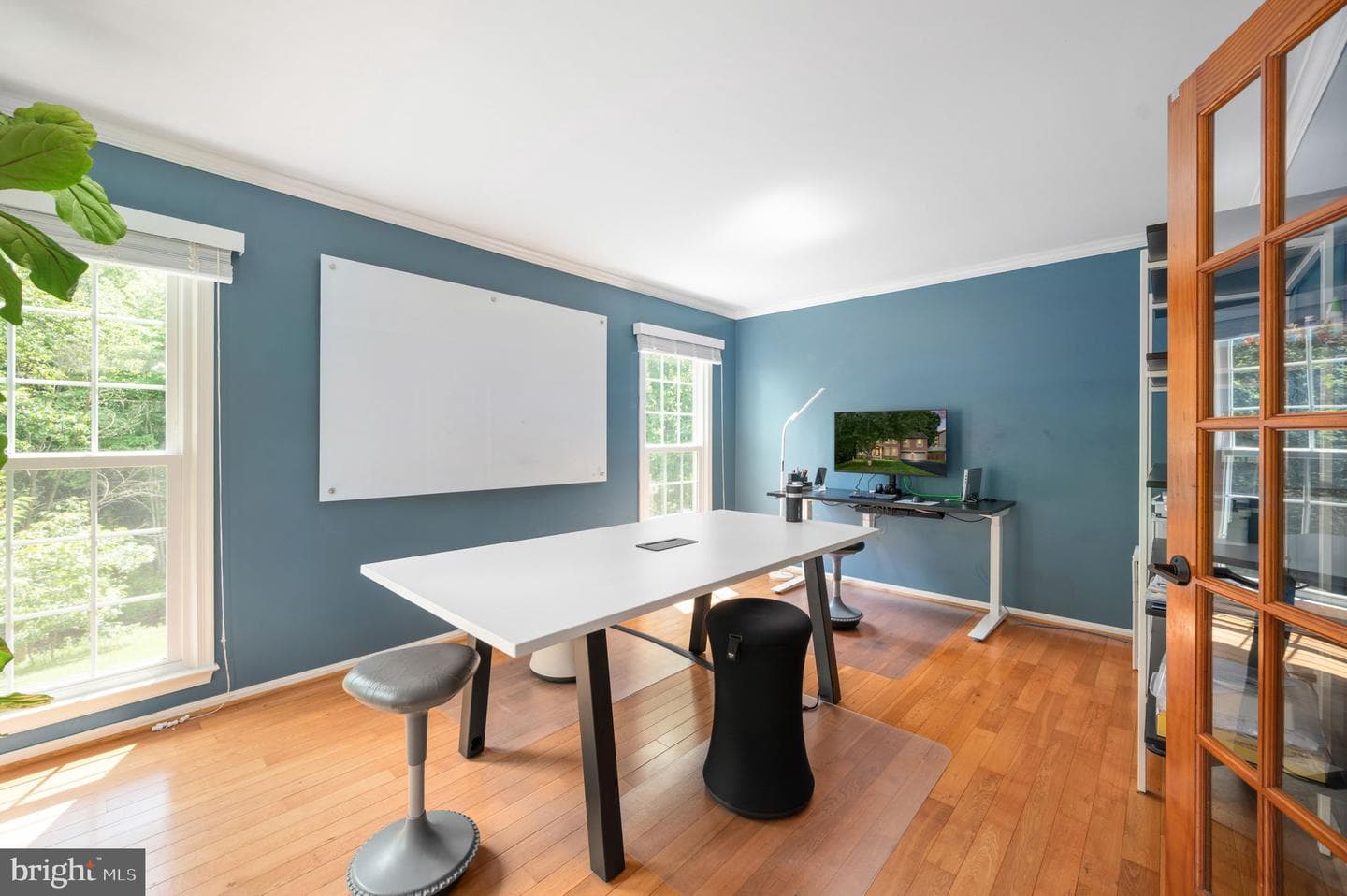 368 Eustace Road photo 7