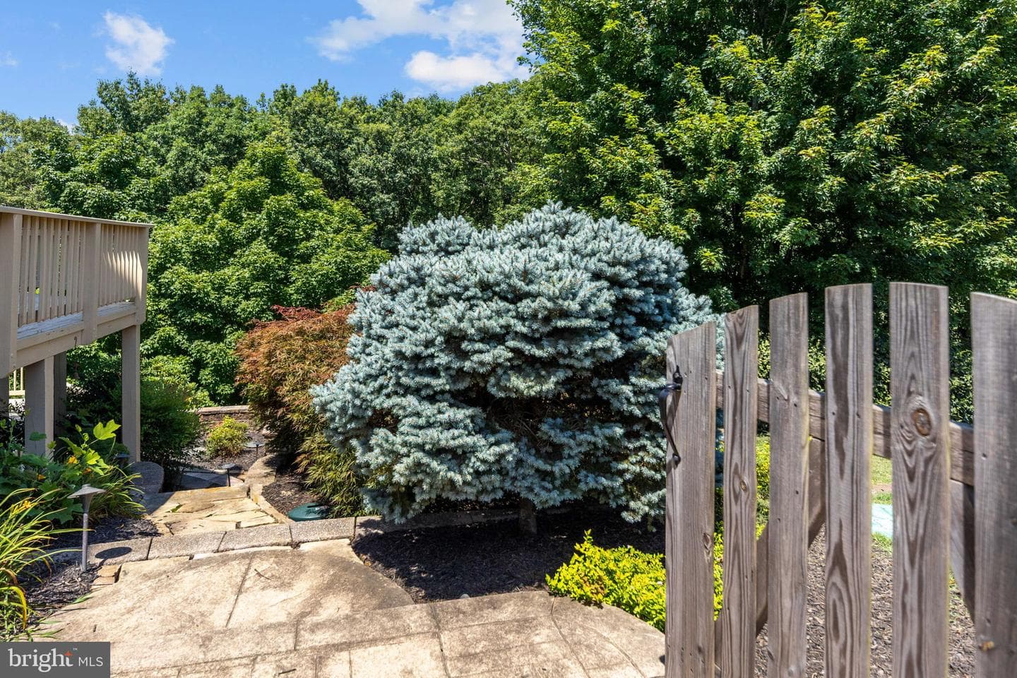 76 High Ridge Drive photo 67