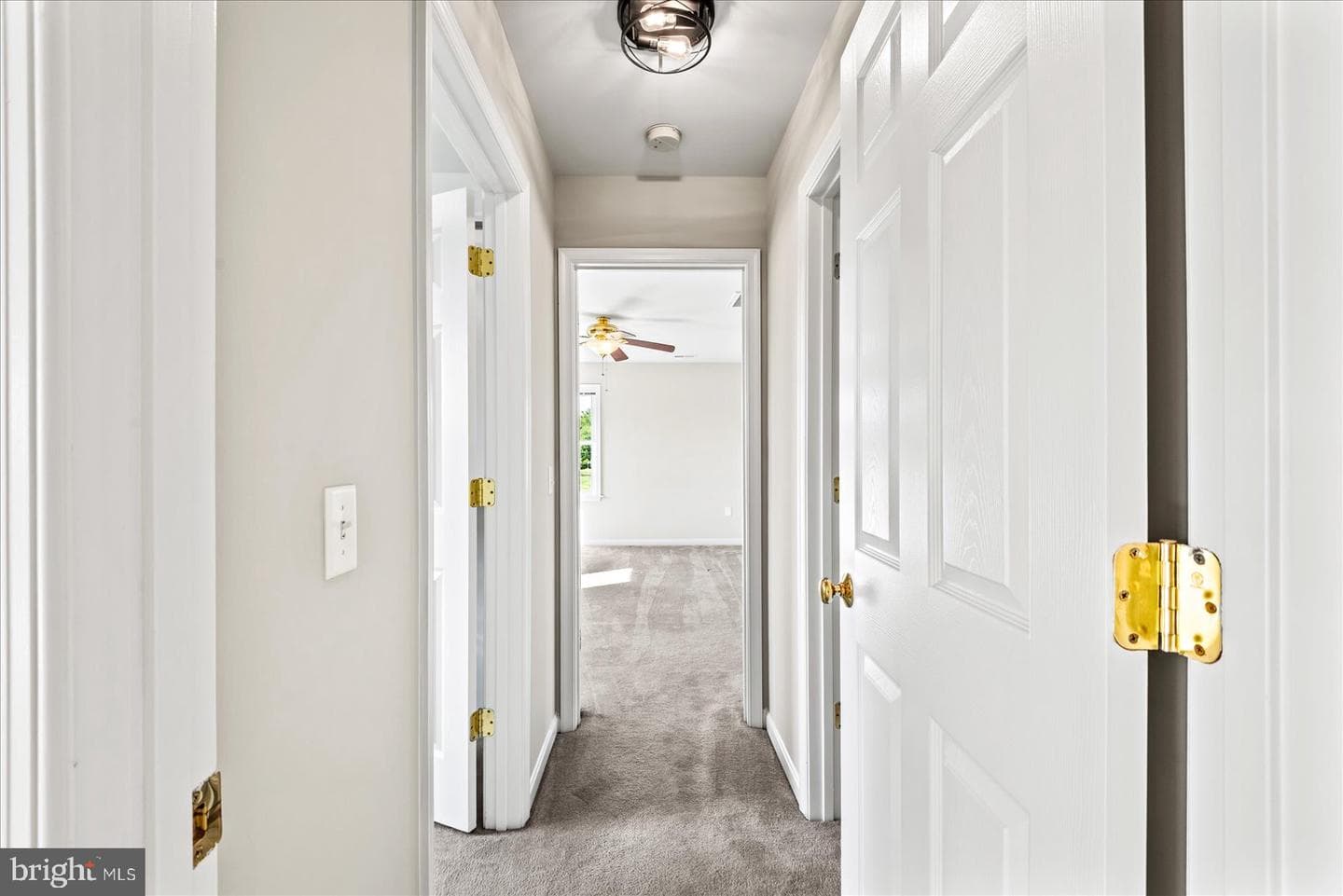 19 Pinto Lane photo 41