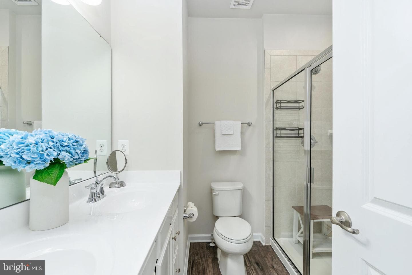 533 View Point Way photo 43