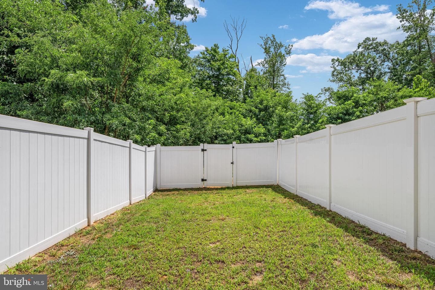533 View Point Way photo 46