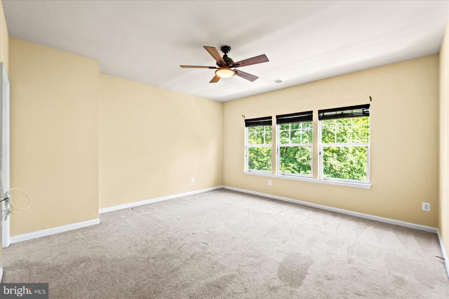 258 Short Branch Road photo 21