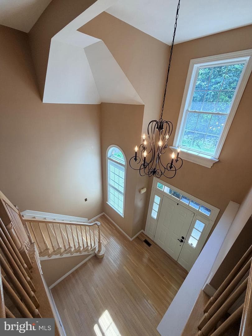 6 Bullrush Court photo 17