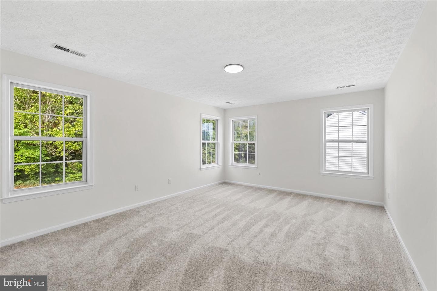 28 Brush Everard Court photo 25