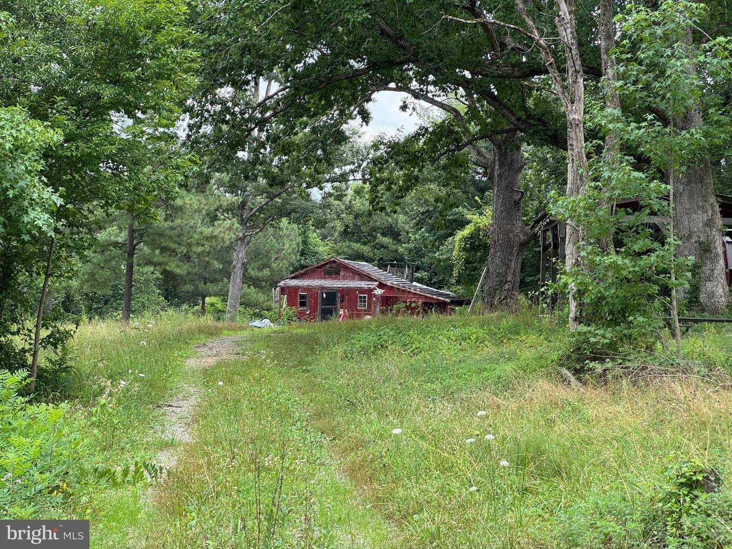 7175 Beef Steak Road photo 2