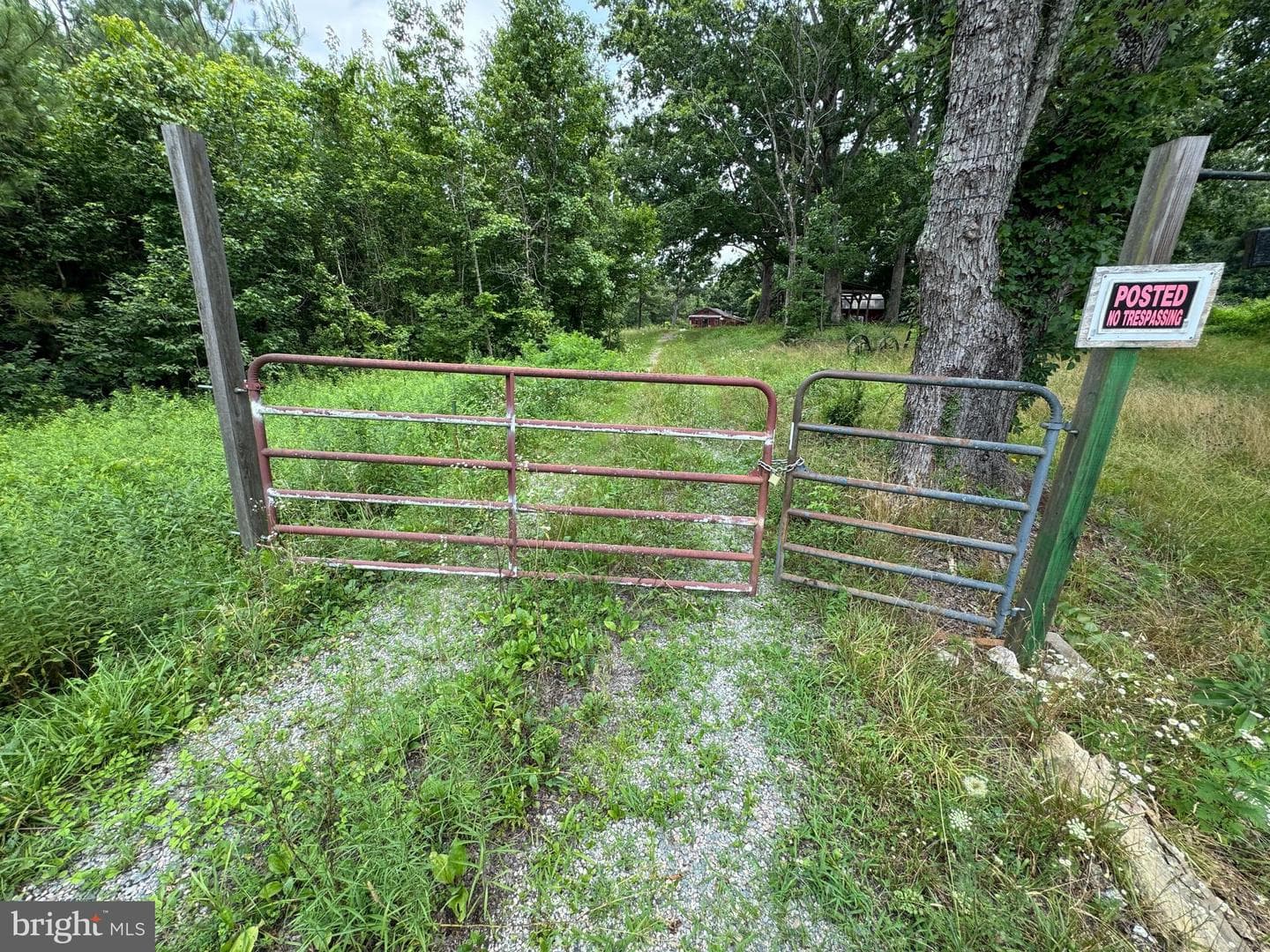 7175 Beef Steak Road photo 6