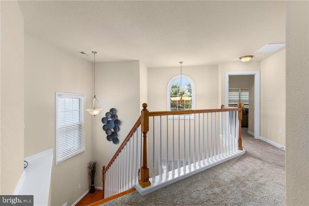 5436 Larissa Court photo 23