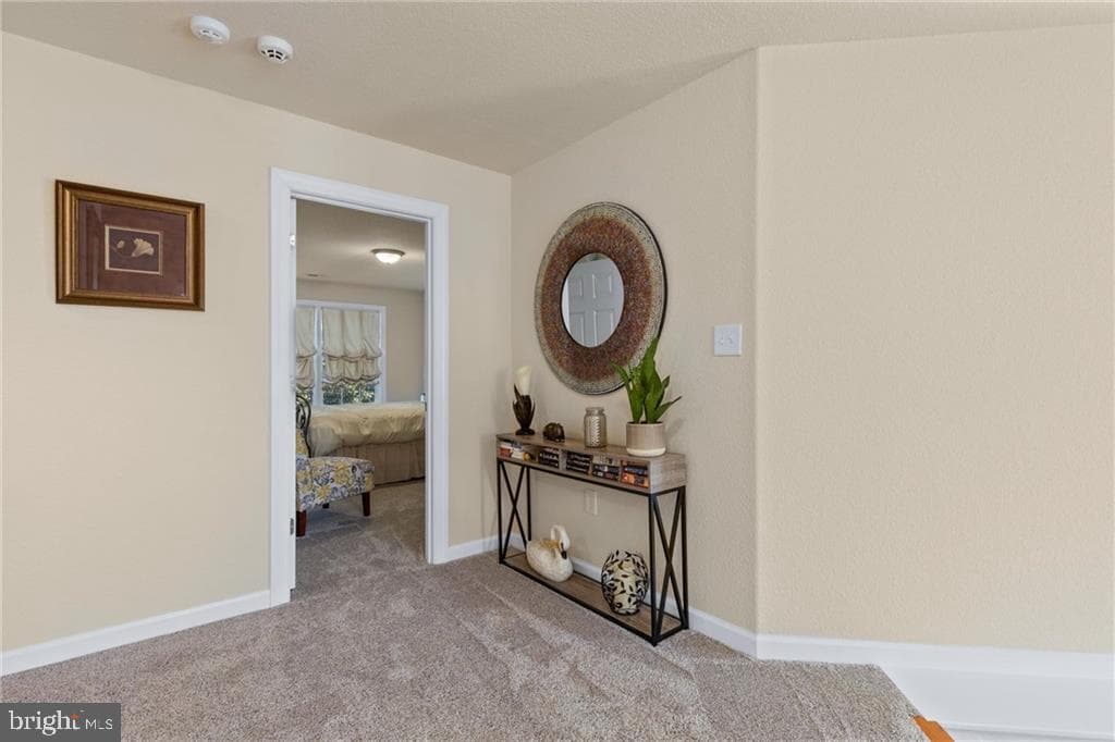 5436 Larissa Court photo 28