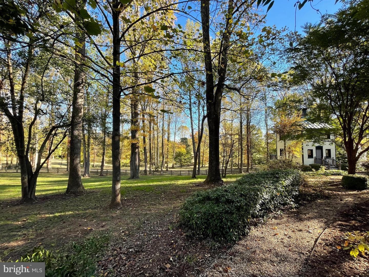 317 Coles Point Road photo 105
