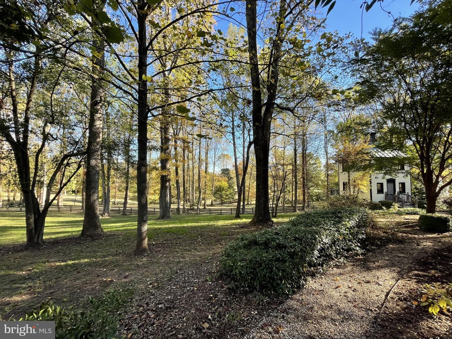 317 Coles Point Road photo 108
