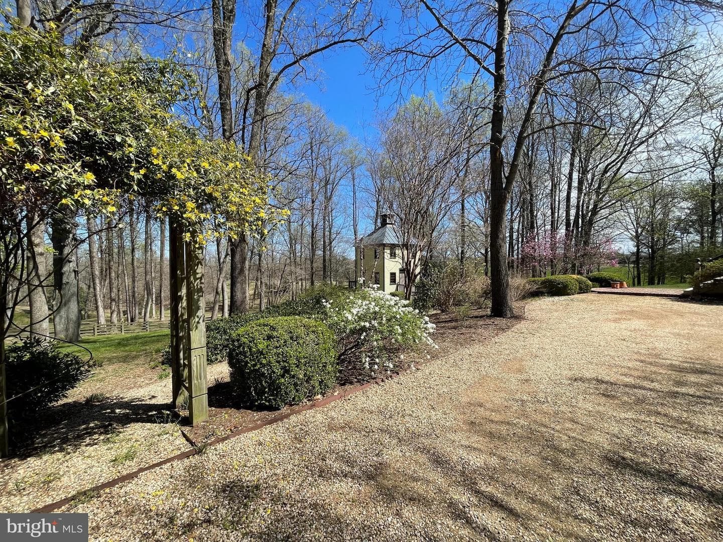 317 Coles Point Road photo 112