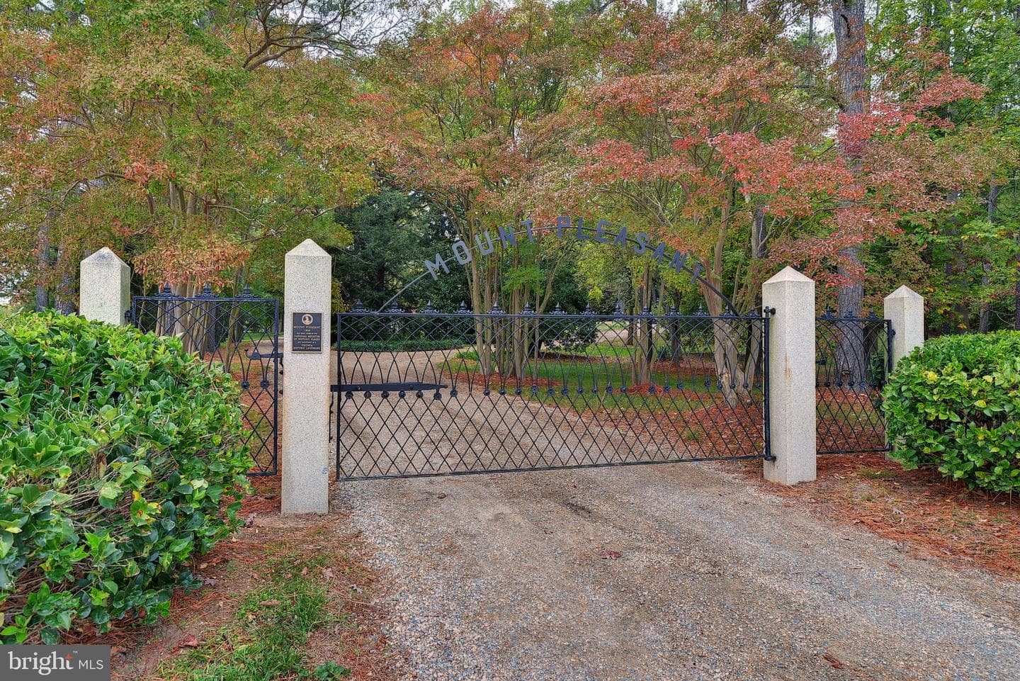 317 Coles Point Road photo 3