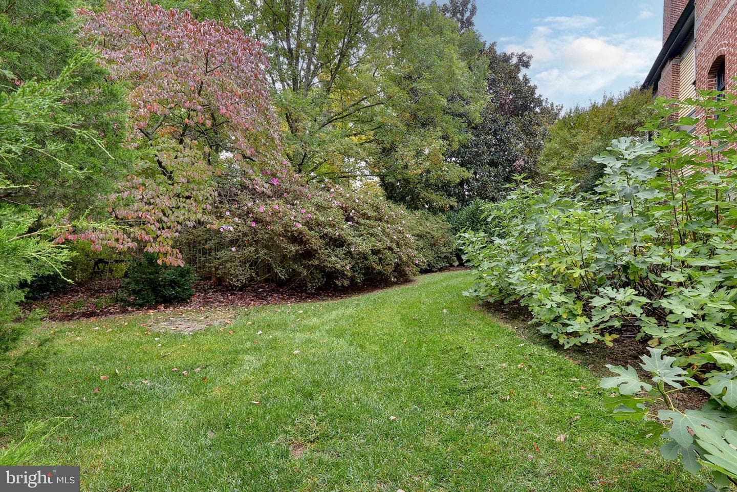 317 Coles Point Road photo 91