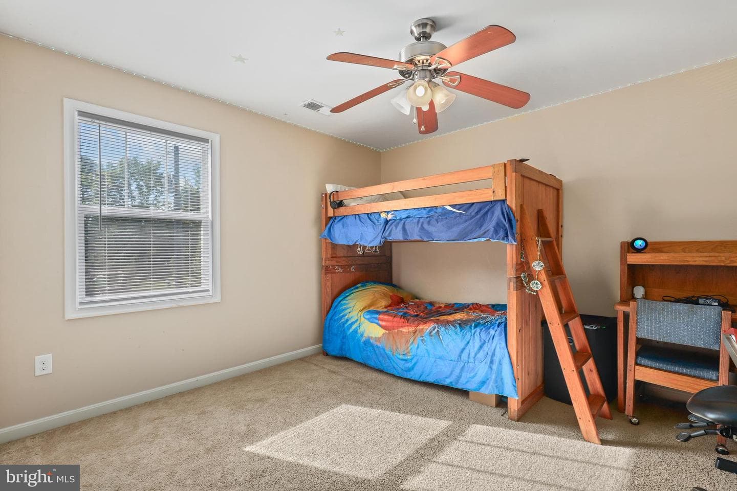 32 Randall Road photo 23