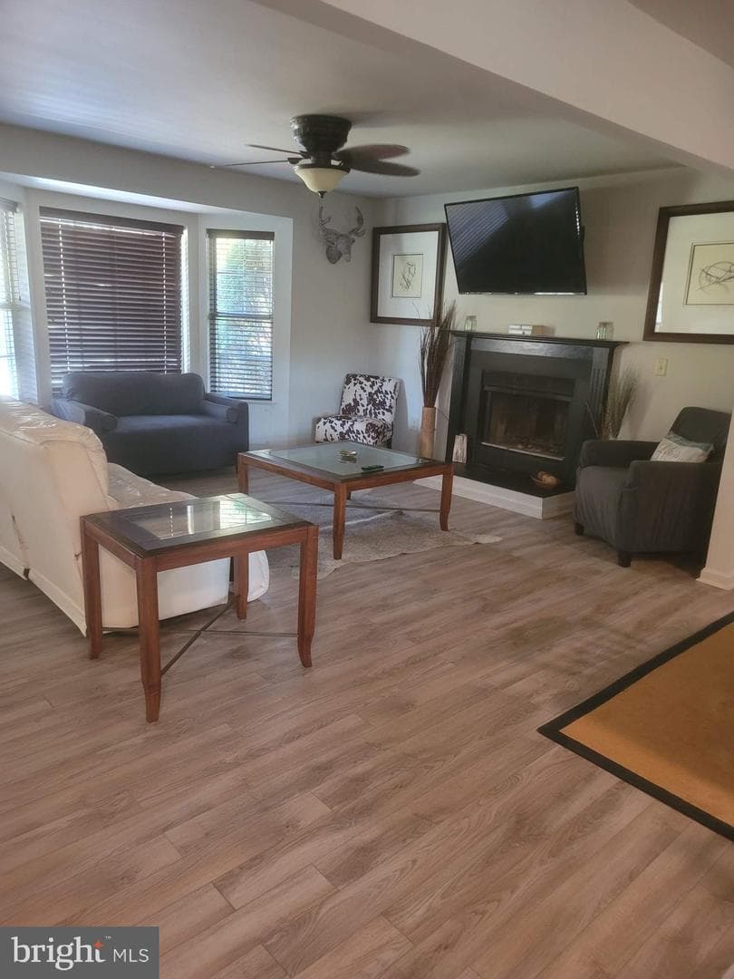 236 Cedar Avenue photo 4