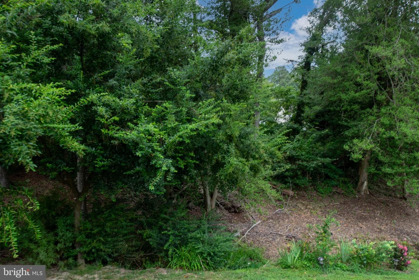 137 12th Street photo 16