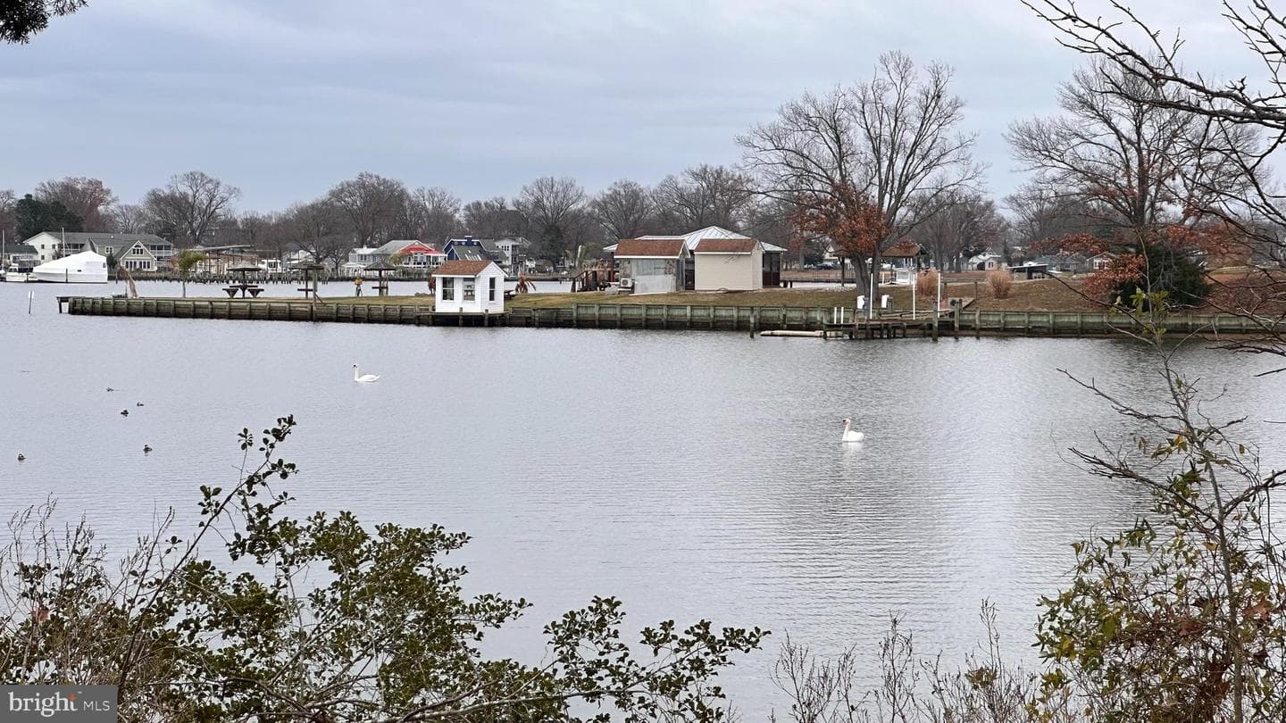 407 Monroe Point photo 40