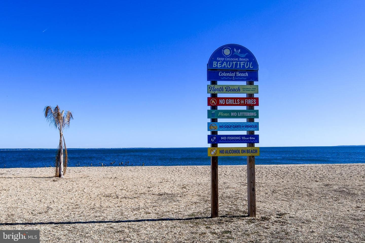 254 Shore Drive photo 56