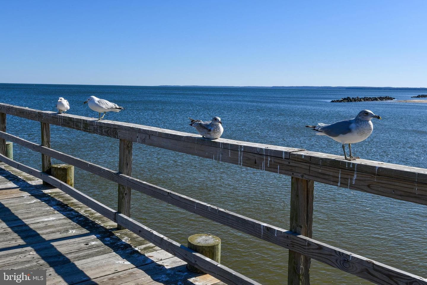 254 Shore Drive photo 61