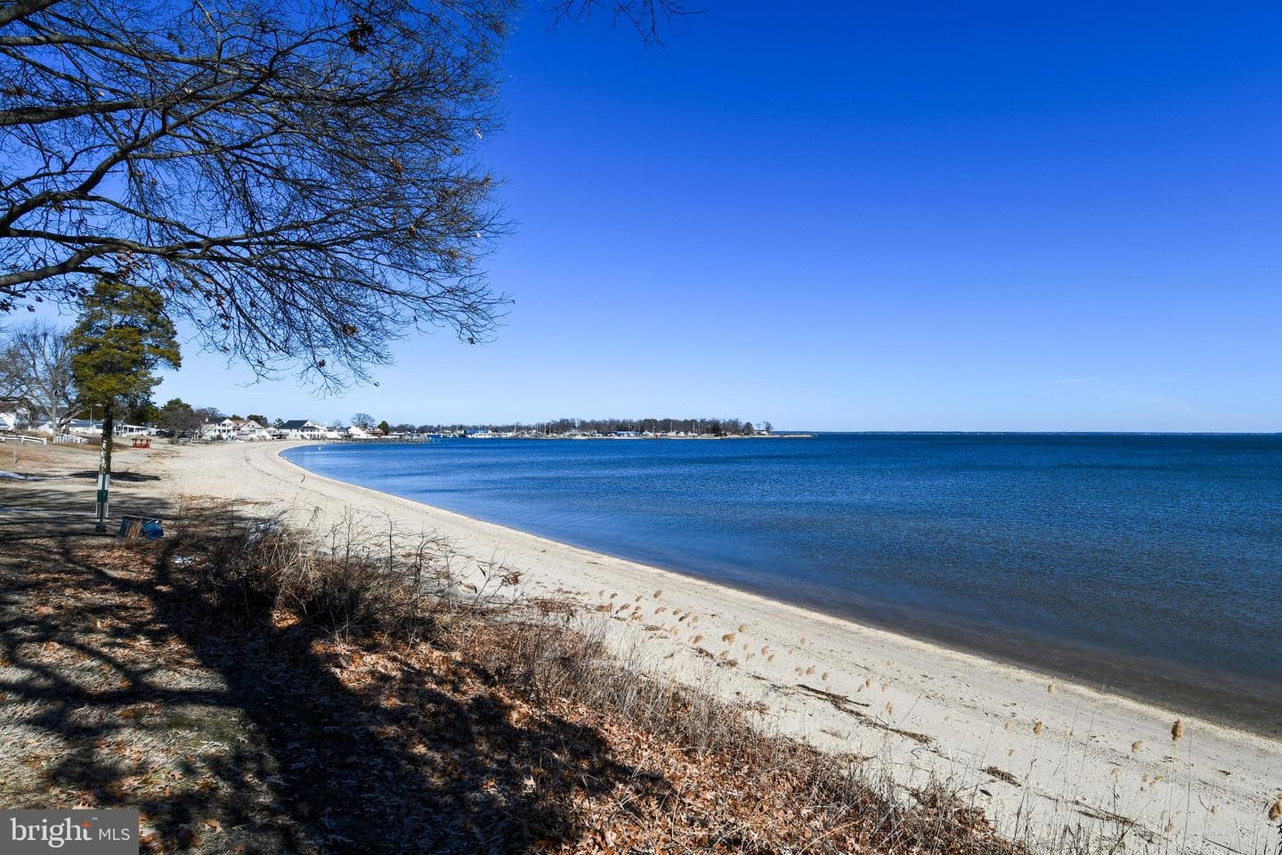 254 Shore Drive photo 77