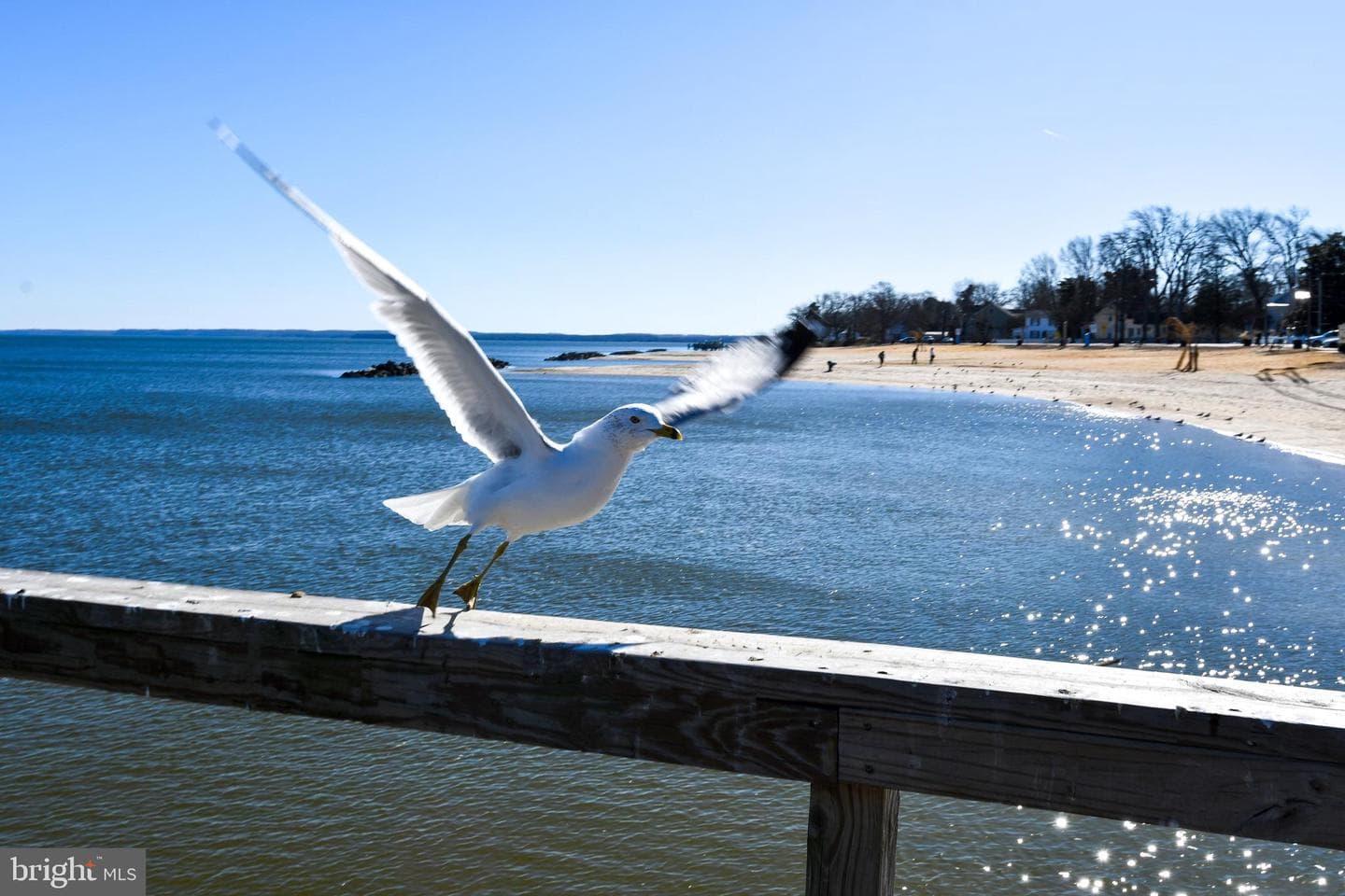 254 Shore Drive photo 85