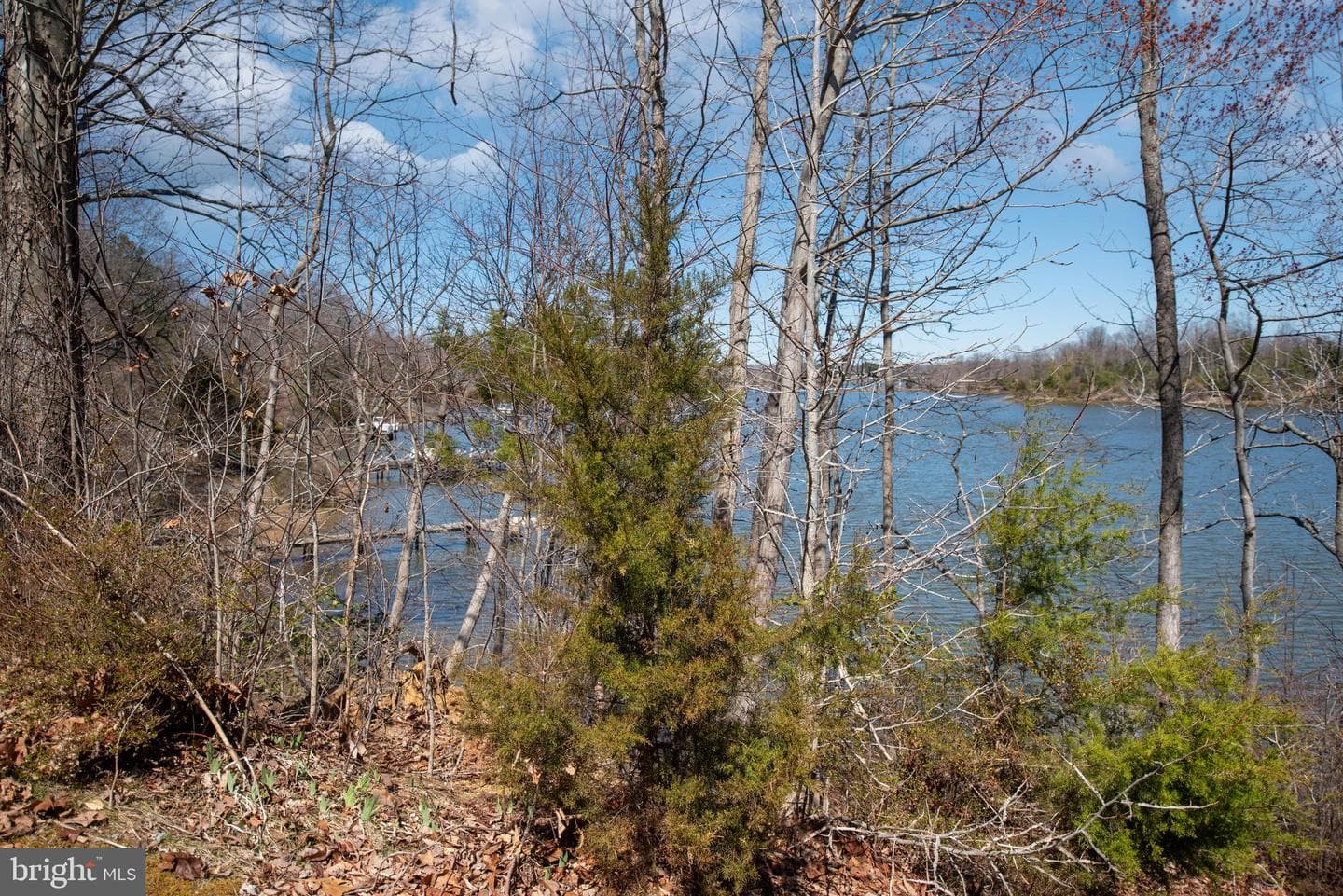 993 Edge Hill photo 74