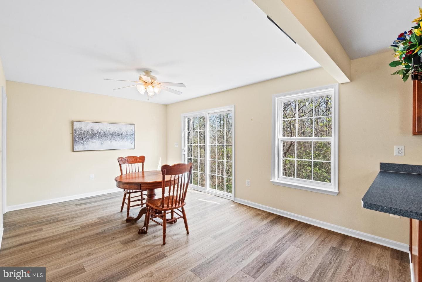 198 Federalist Way photo 12